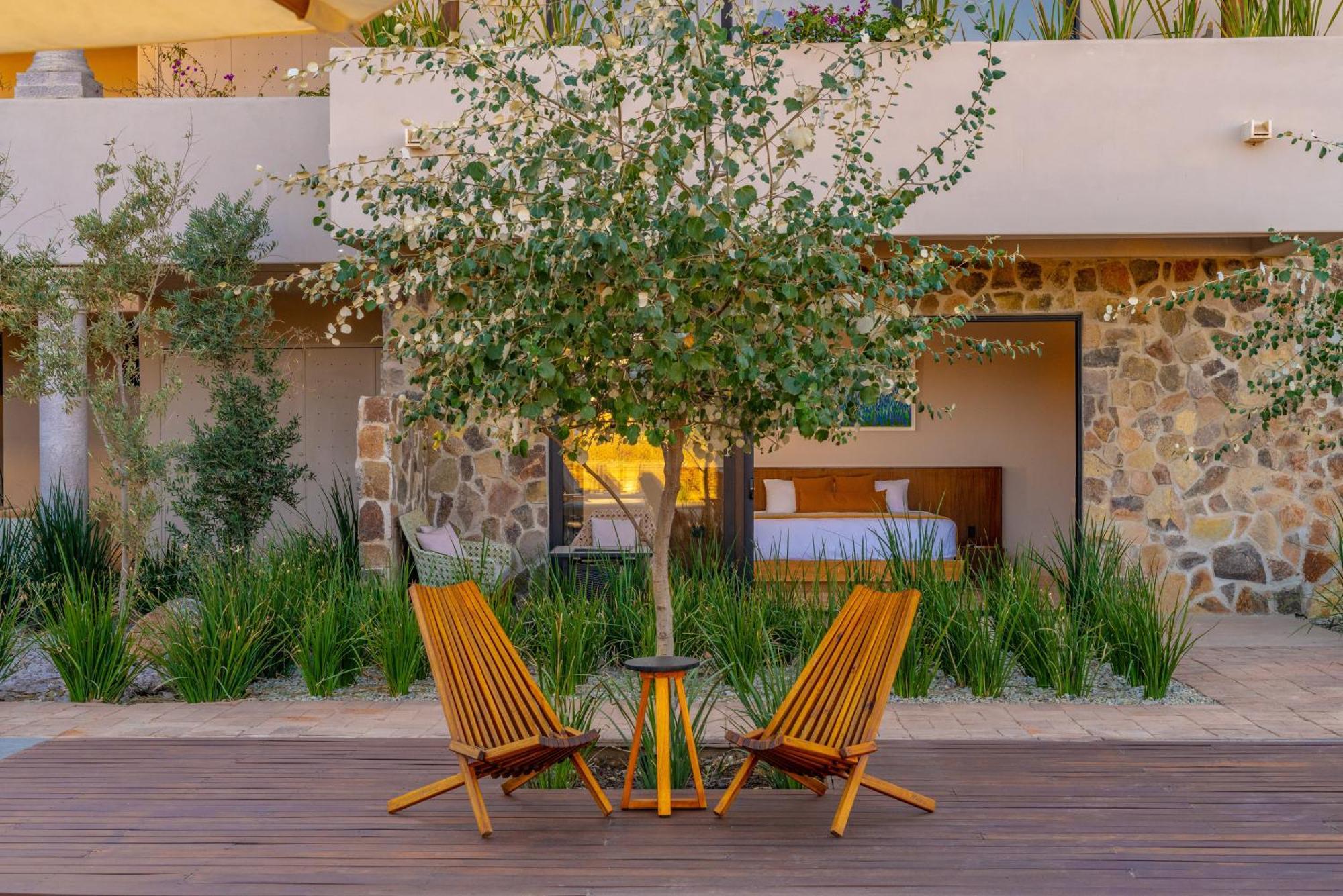 Hotel Flores De Sal-Valle De Guadalupe Esterno foto