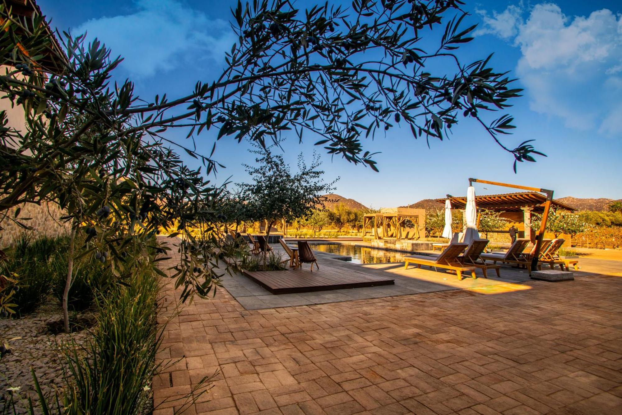 Hotel Flores De Sal-Valle De Guadalupe Esterno foto