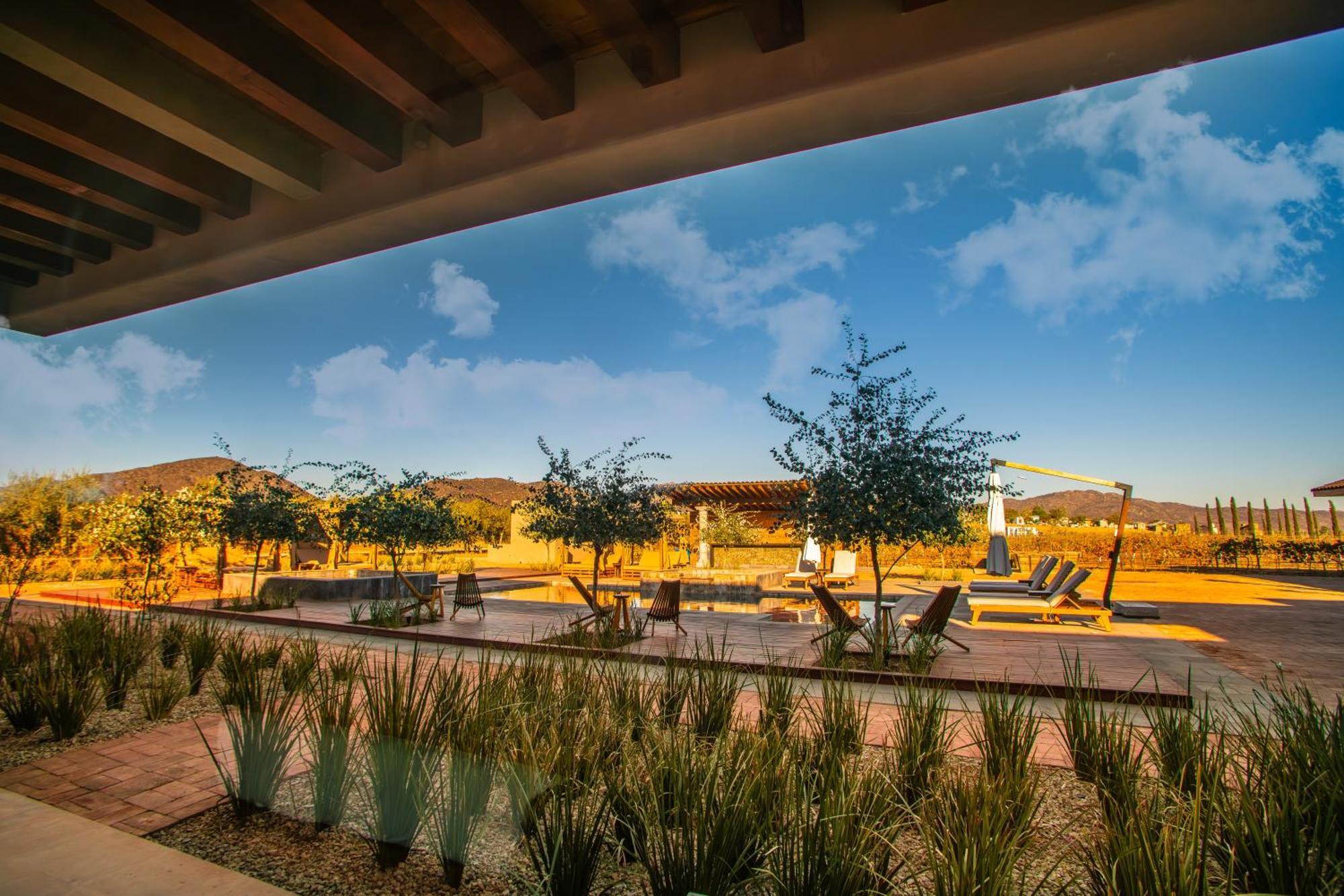 Hotel Flores De Sal-Valle De Guadalupe Esterno foto