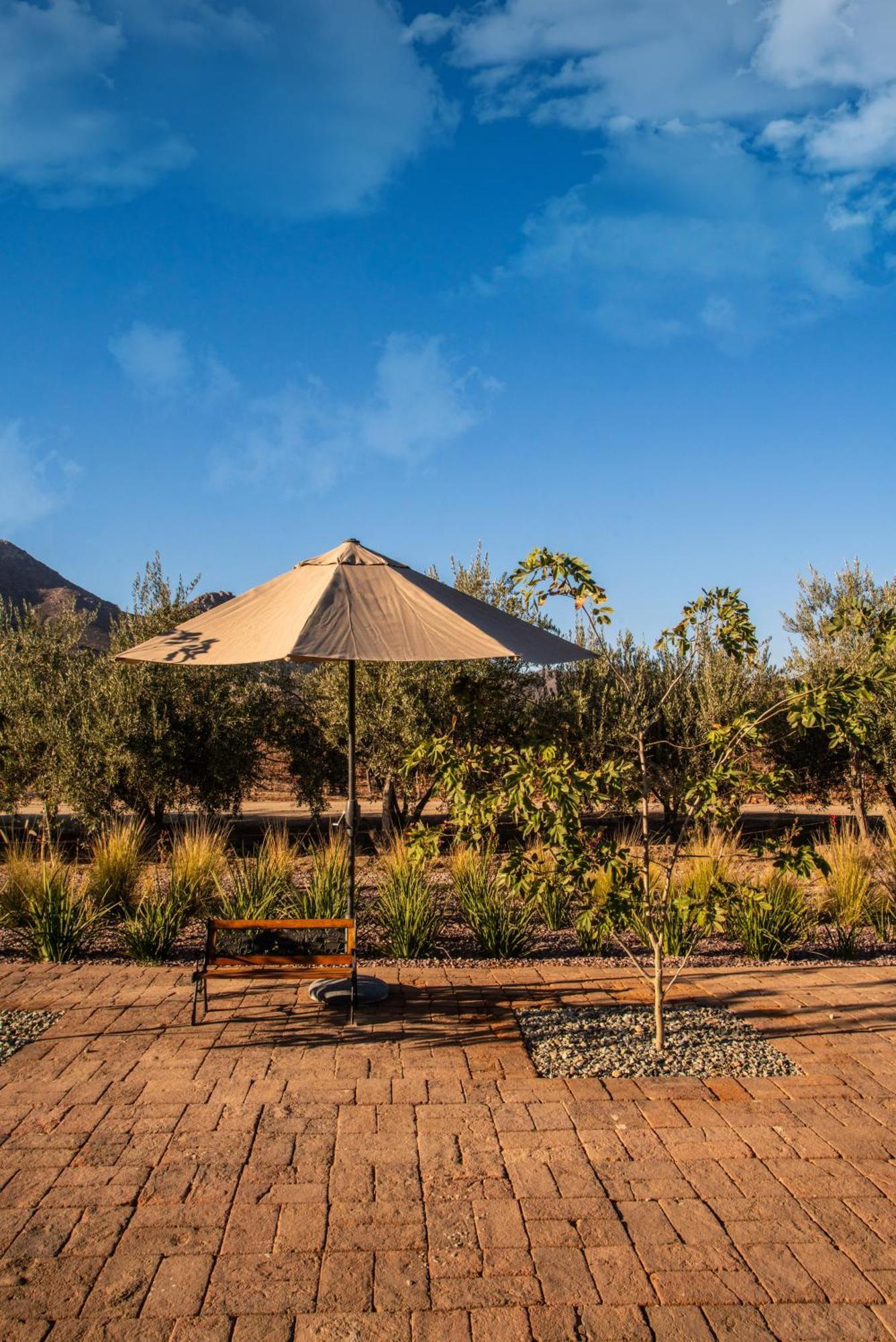 Hotel Flores De Sal-Valle De Guadalupe Esterno foto