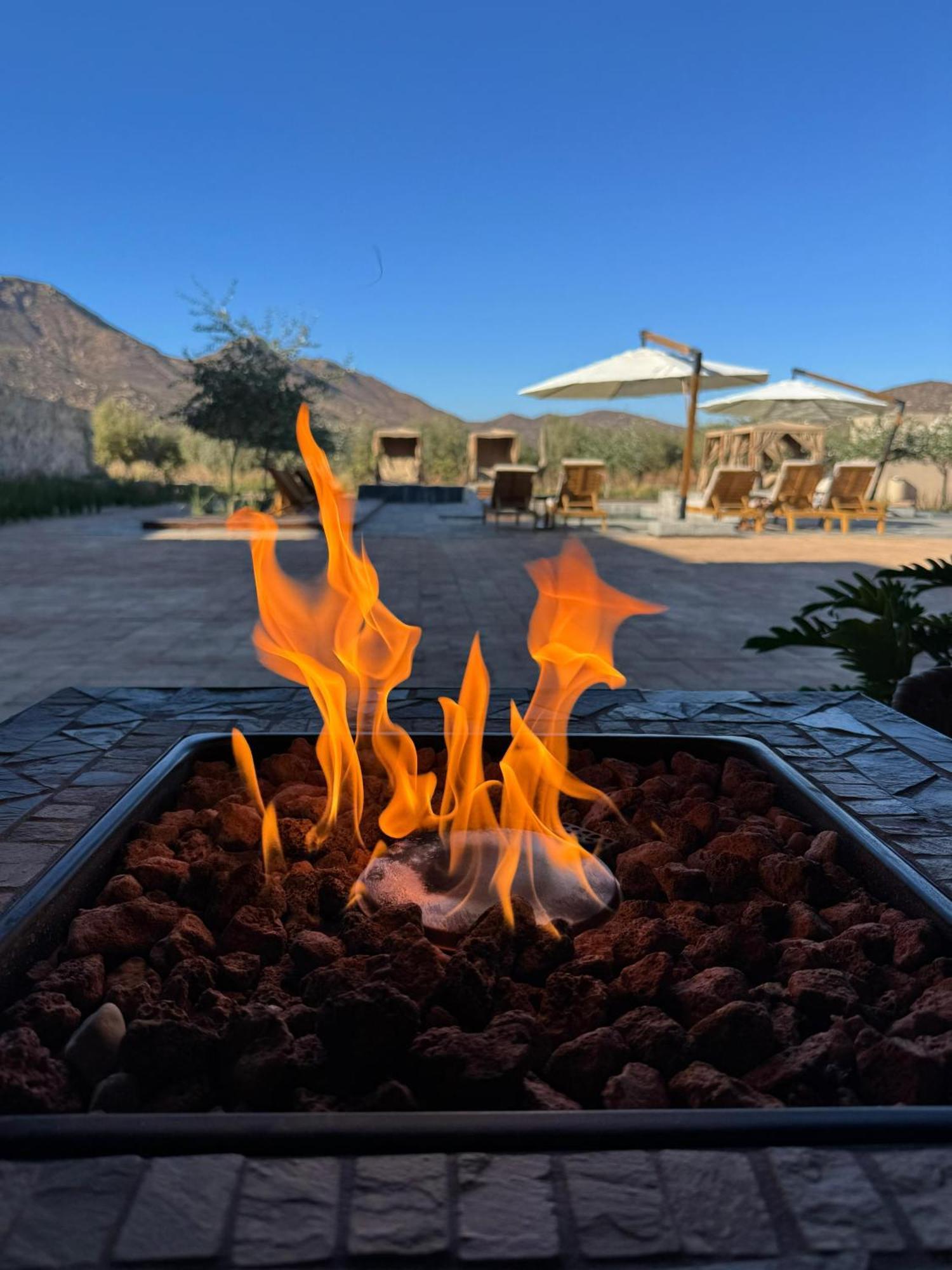 Hotel Flores De Sal-Valle De Guadalupe Esterno foto